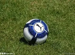 揭秘牙买加,赛场风云,卡瓦立尔,开云·体育APP下载,开云·体育官网,KAIYUN,SPORT,开云体育APP,开云体育下载,KAIYUN,SPORT官网,开云体育官方入口