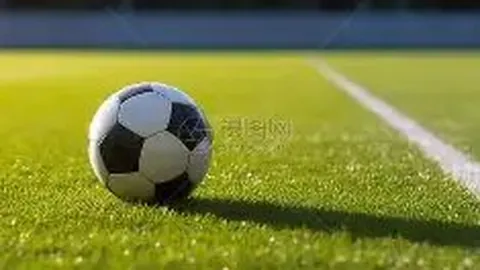 开云APP体育 资讯 095205 u5i