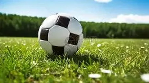 开云APP体育 资讯 095157 mfg